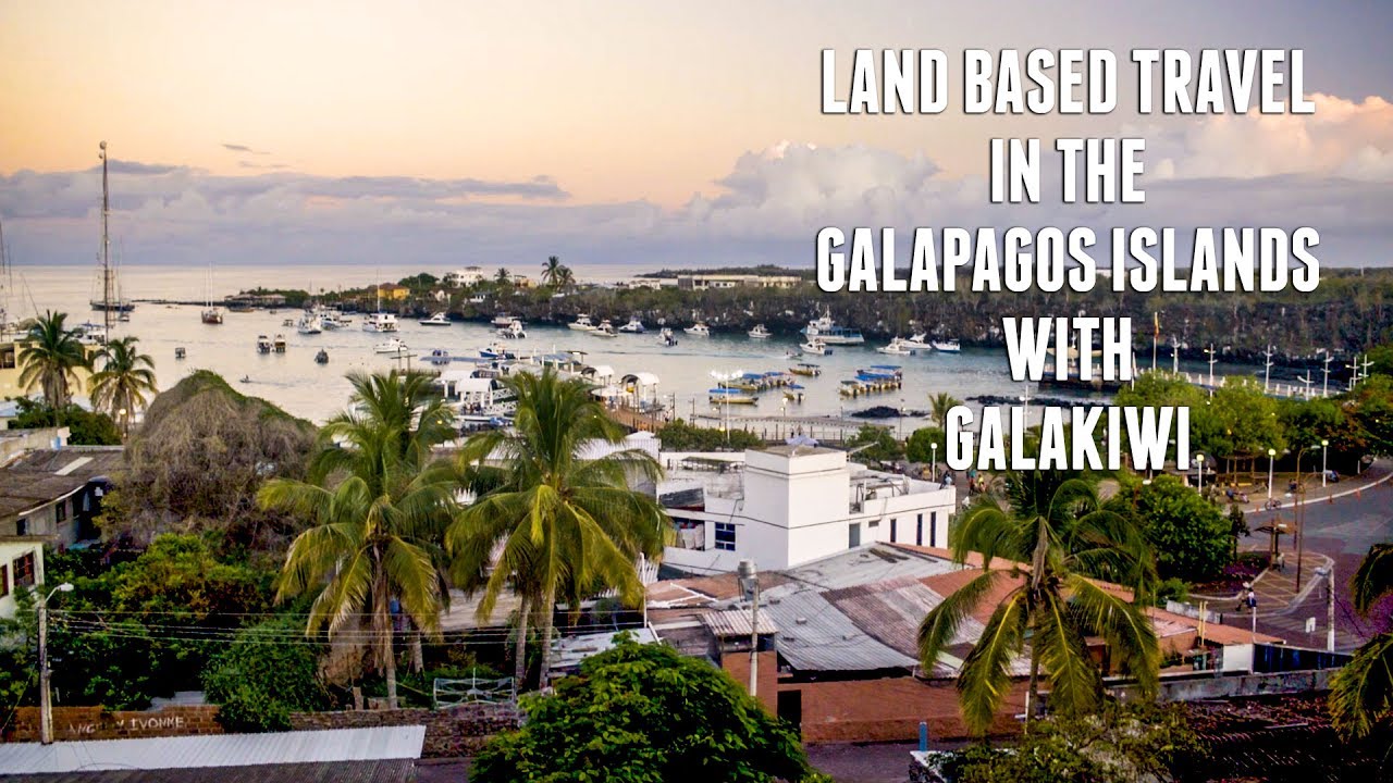 Land Based Travel In The Galapagos Islands With Galakiwi