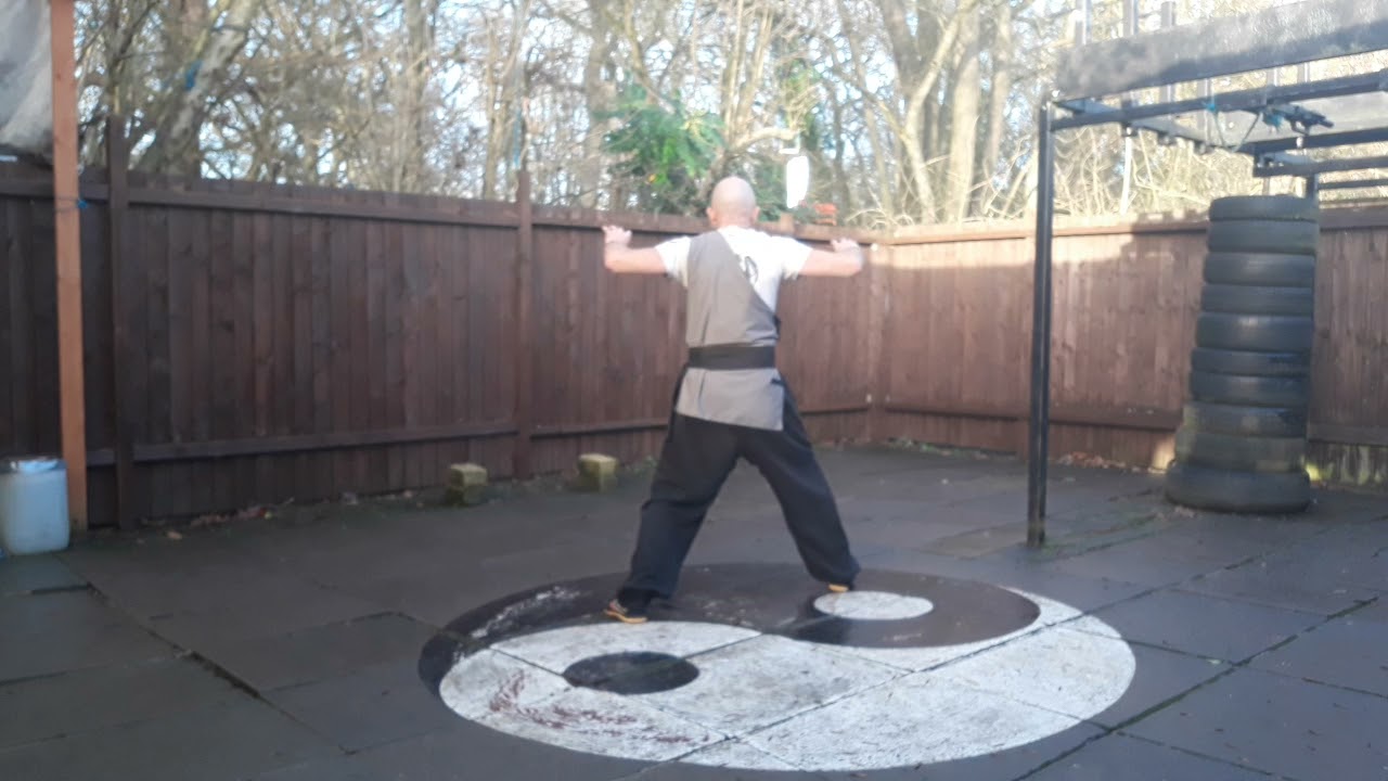 Southern Steelwire Praying Mantis, Sarm po chin Mantis One Hard Qigong see description