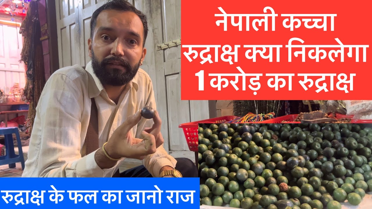 नेपाल में यहा आपको 1₹ में रुद्राक्ष मिलेगा | सीधे नेपाल से ख़रीदे रुद्राक्ष #nepal #rudrakshamala