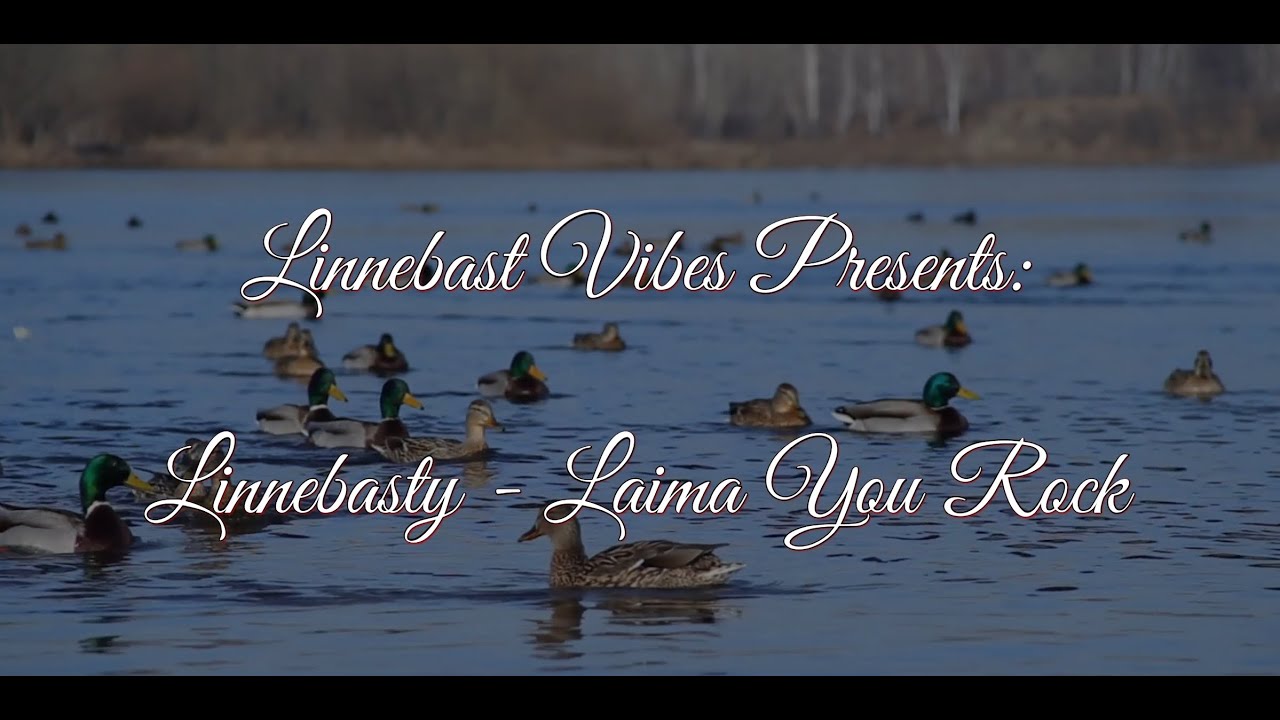 Linnebast vibes Presents: Linnebasty - Laima you rock