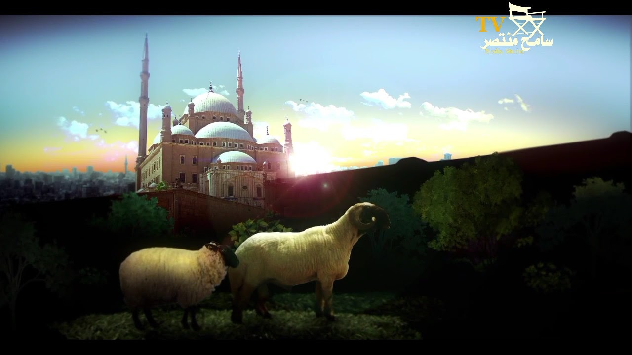 برومو | انترو عيد الاضحى المبارك| للمخرج سامح منتصر HD 3eid Al-Ad7a - Promo |