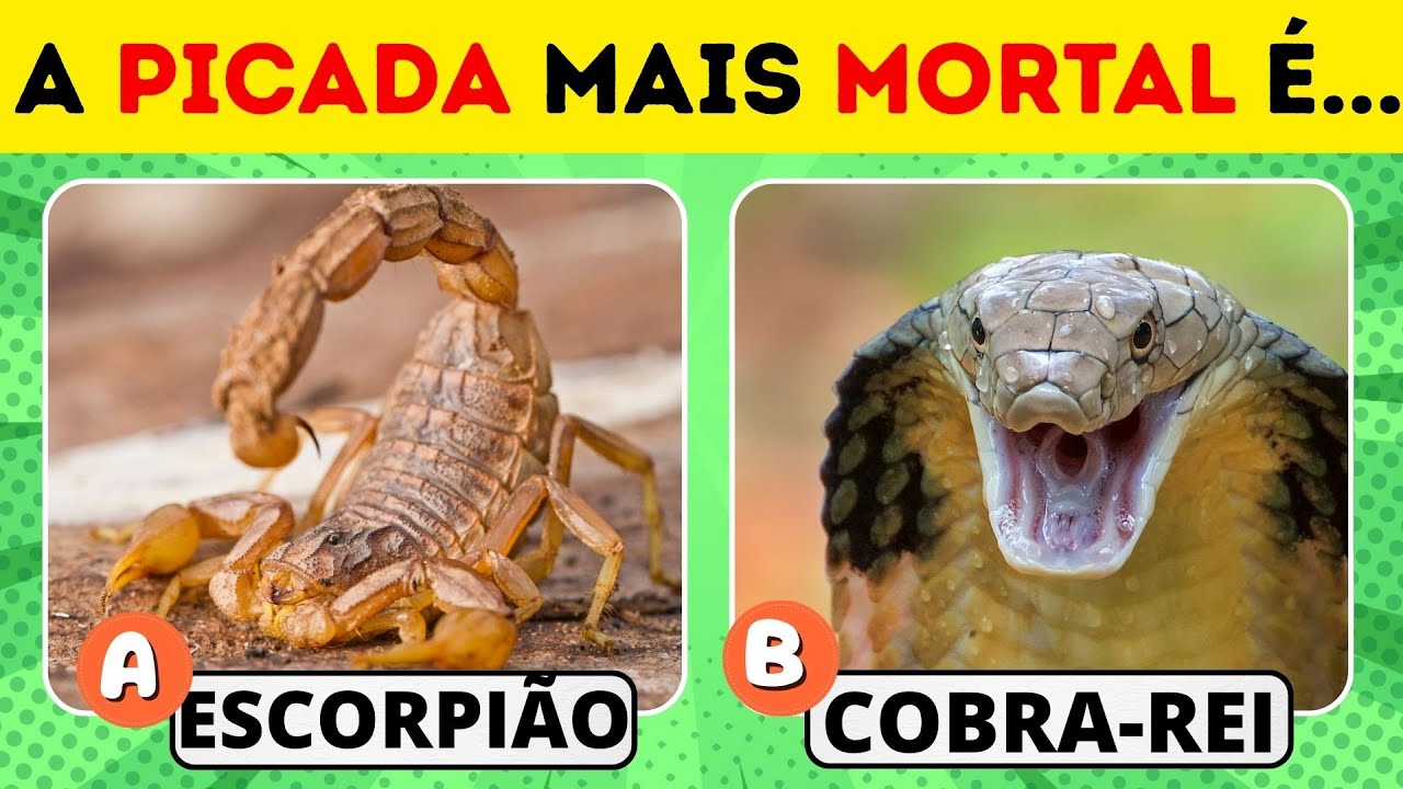 Você Conhece Mesmo os Animais? 🧠🐯  Desafios de Curiosidades do Reino Animal