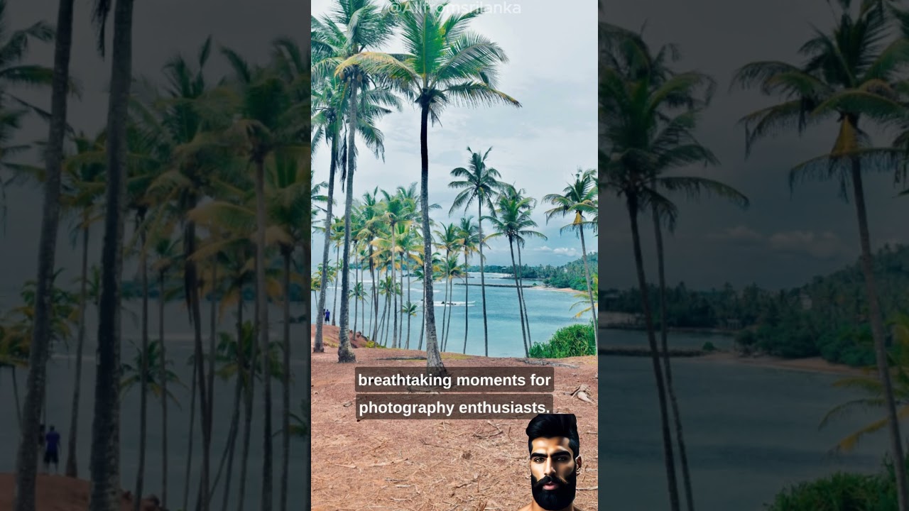 Coconut Hill Mirissa | Tropical Paradise: Exploring Coconut Hill Mirissa in Sri Lanka 🏝️#srilanka