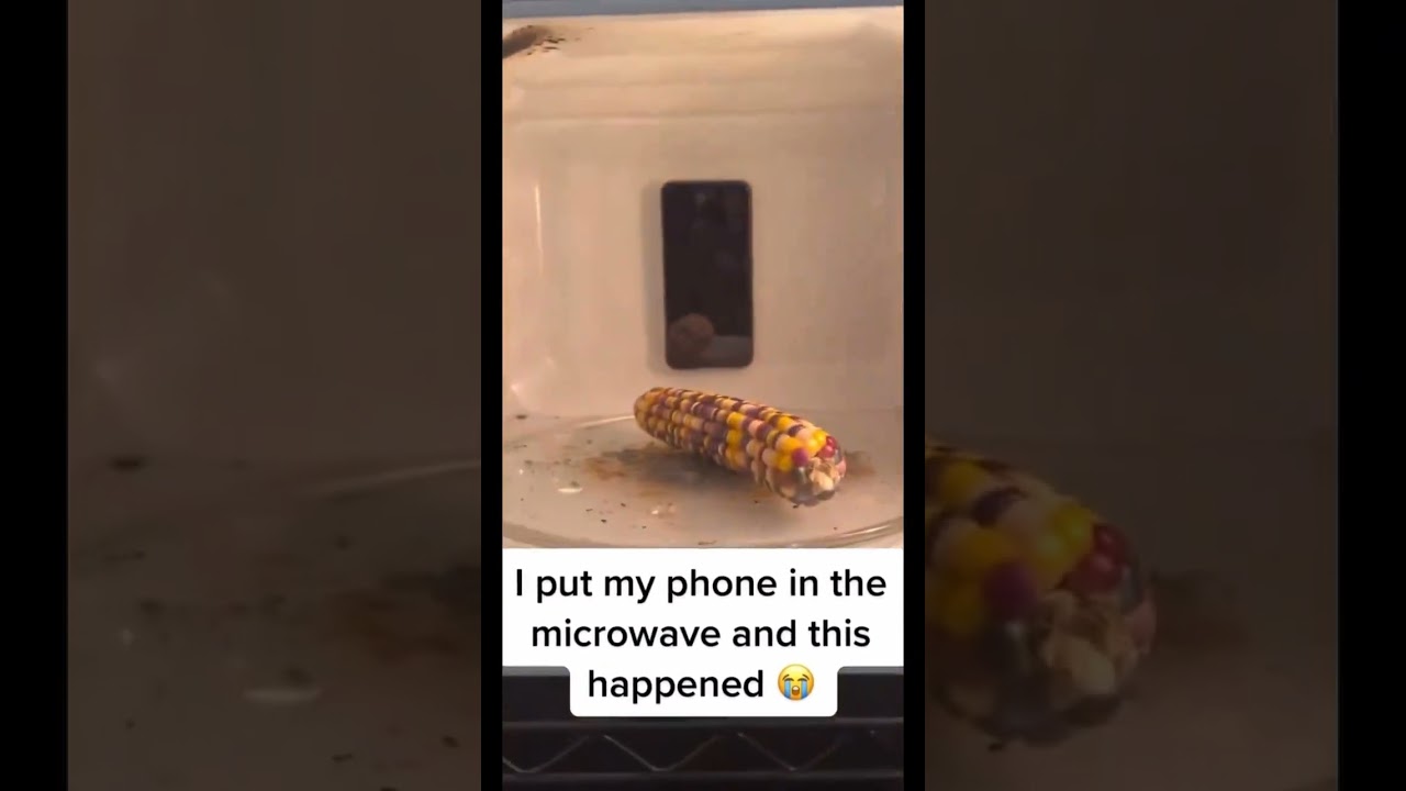 Phone in microwave experiment 🤦🏽#experiment #iphone #microwave