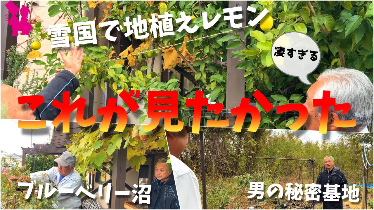 【神回】果樹沼にハマったご主人が作るお庭と秘密基地の畑を見せてもらえました