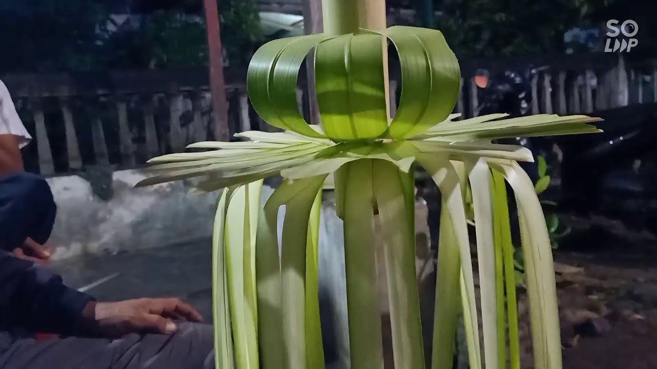 Cara Membuat Janur Kuning