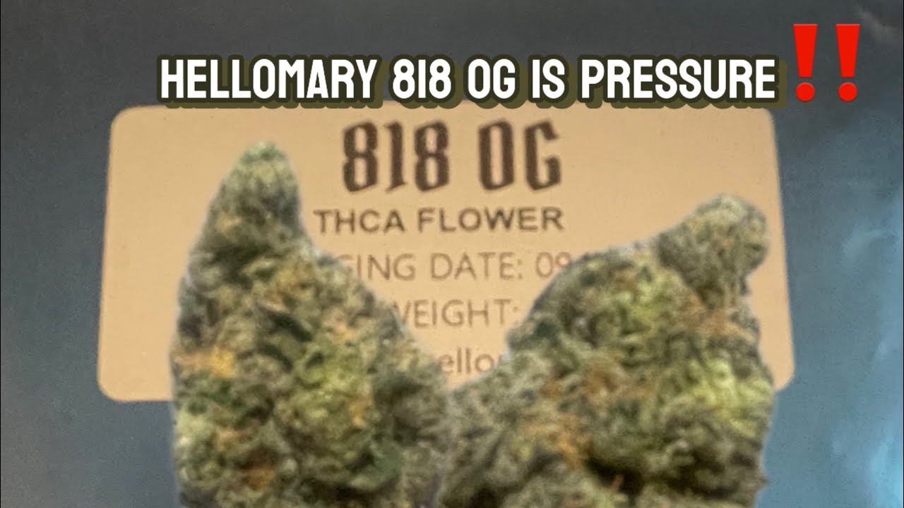 Hellomary 818 og had me philosophical 🧐
