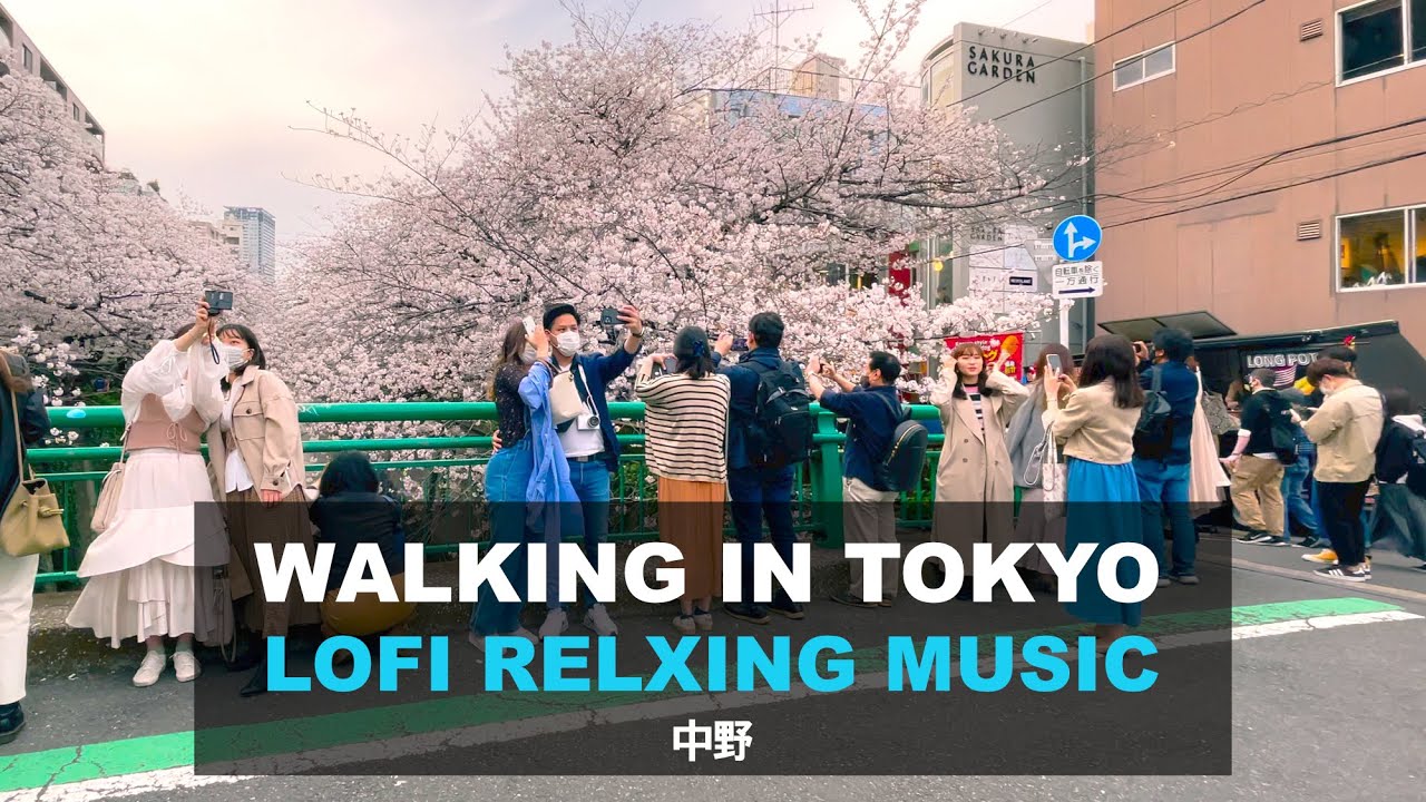 【4K】Walking in Tokyo with LoFi relaxing music | Sakura season in Nakano|LoFi beats to sleep/chill to