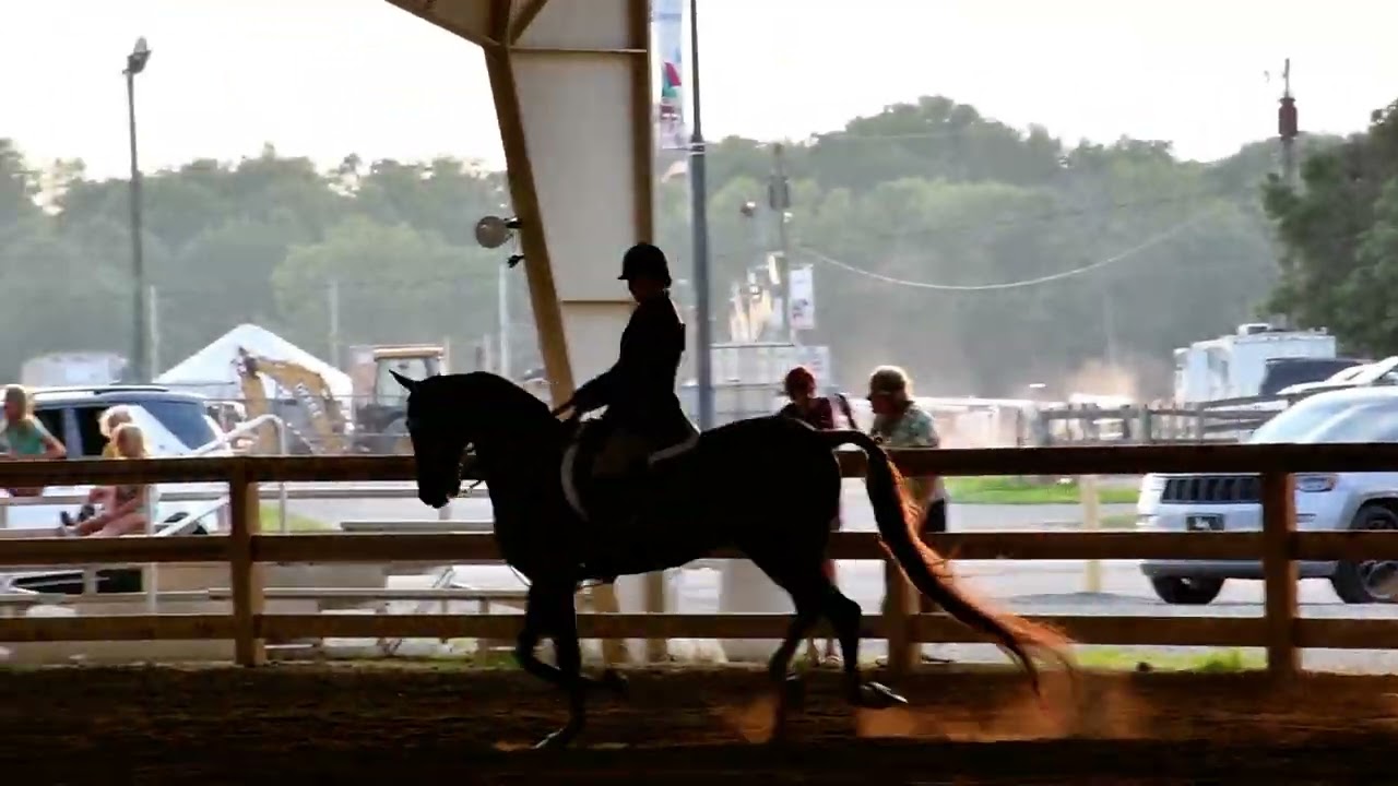 Nic and Oliver in Class 7 - ASB Hunter Country Pleasure at Dayton Horse Show in Springfield OH