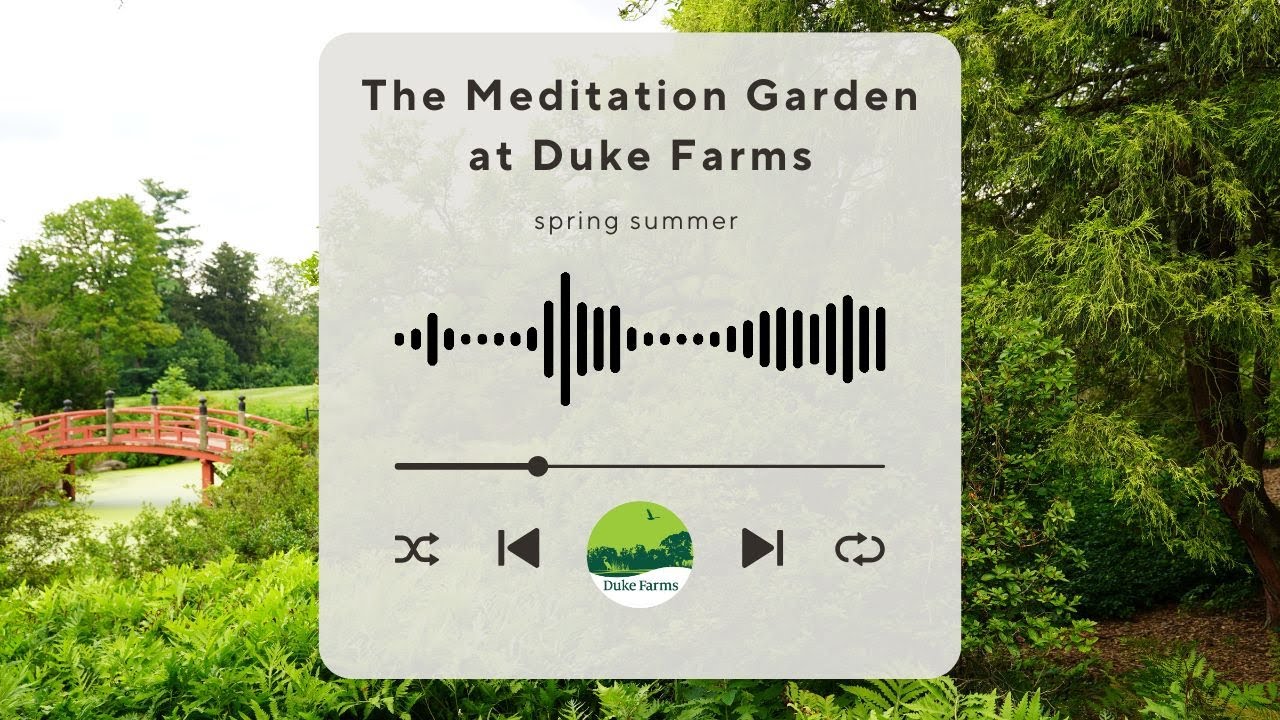 The Meditation Garden at Duke Farms - Spring Summer