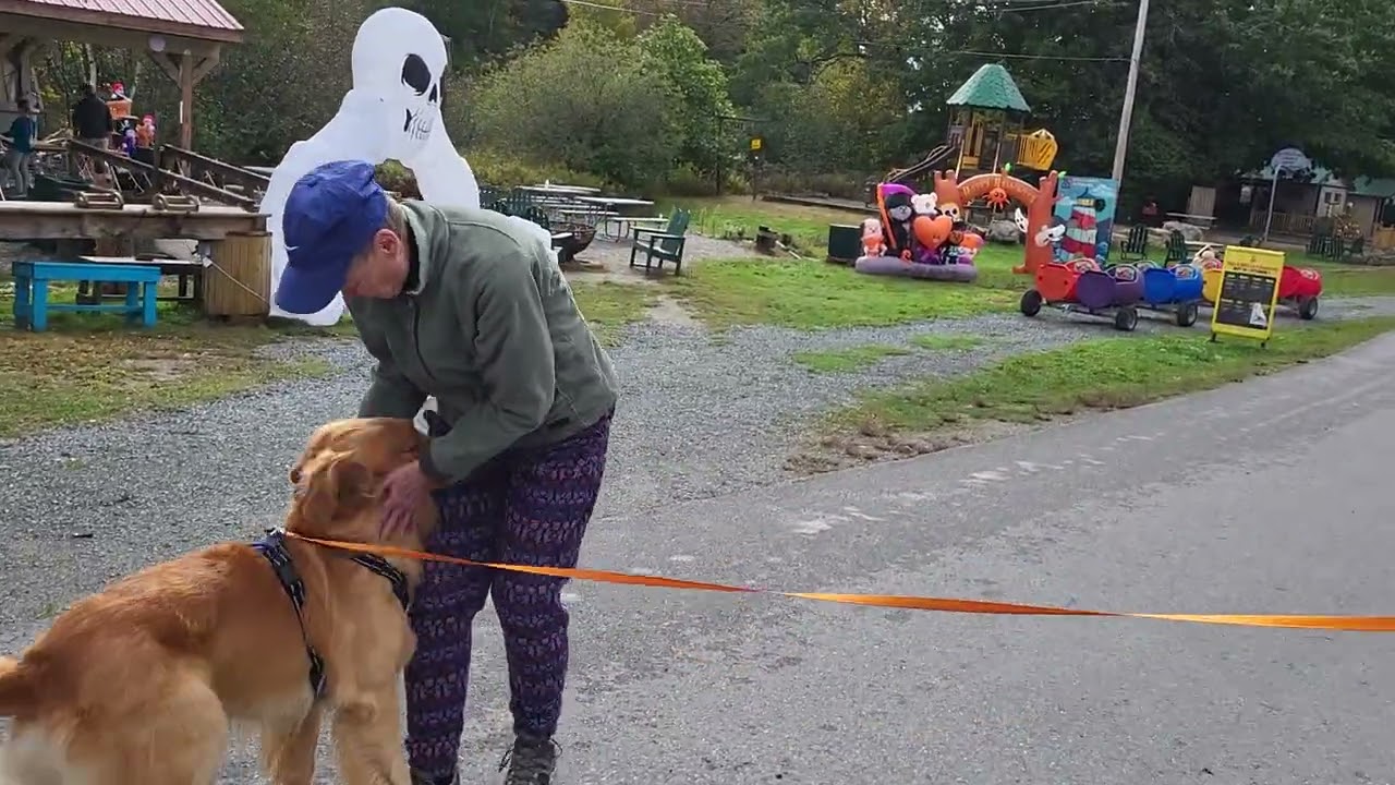 Bar Harbor KOA campground review.#welovetotravel #rvlife #liveyourbestlife #doglife