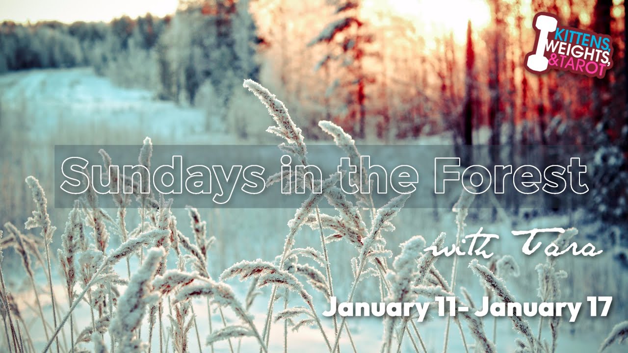 🌲Sundays in the Forest: DIY Lavender Water + Herb of the week + Readings