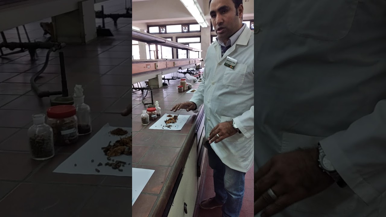 د. محمد بكر   مواد علف مصدر للطاقه وبدائلها غير التقليديه  في تغذية الحيوان.