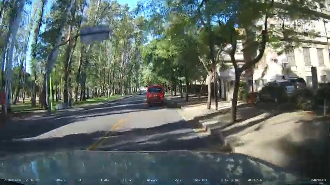 12. 🇦🇷 Drive from Santa Rosa to Bahia Blanca - Full