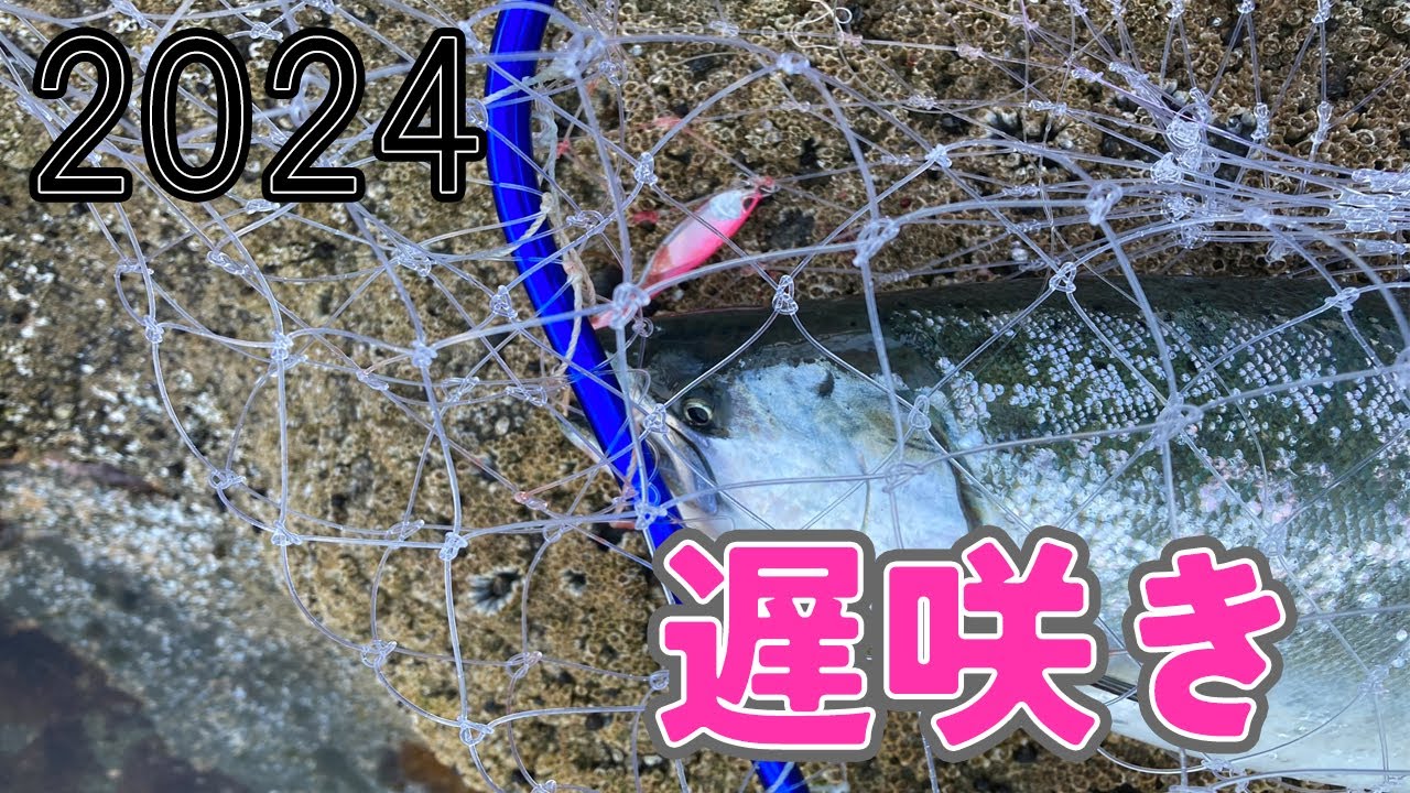 サクラマスが爆って心臓もバクバクした2024