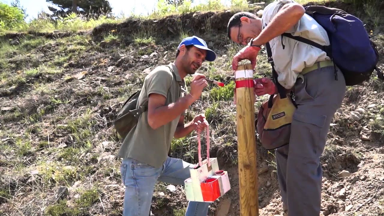 Comando Empleo GSD - FP Gestión Forestal y del Medio Natural