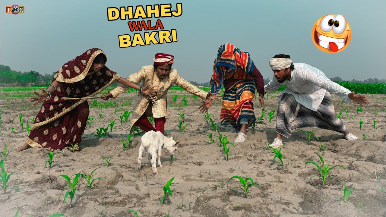 Dahej wala Bakri Totally Funny comedy video 🤣// Lovely fun nonstop