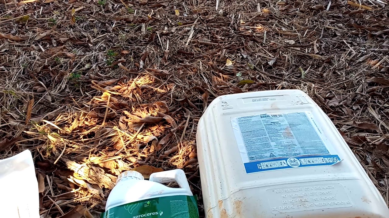 Como é o modo certo de  preparar a calda do tanque do pulverizador 🤔
