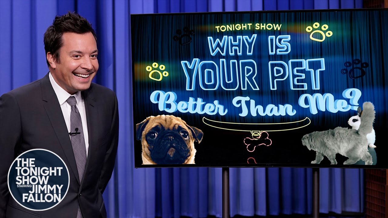 Why Is Your Pet Better Than Me?: Golfing Cat, Jenga-Playing Dog | The Tonight Show