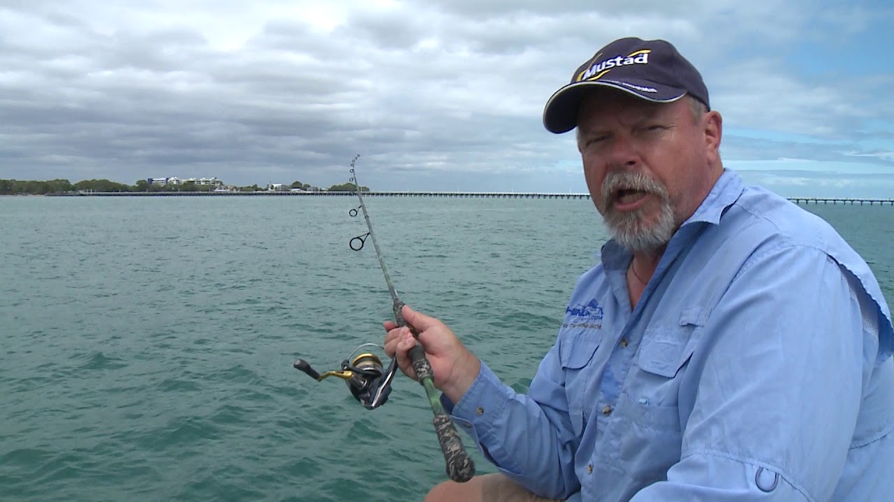 STOP Commercial Netting in the Great  Sandy Marine Park | Steve Starling - Starlo