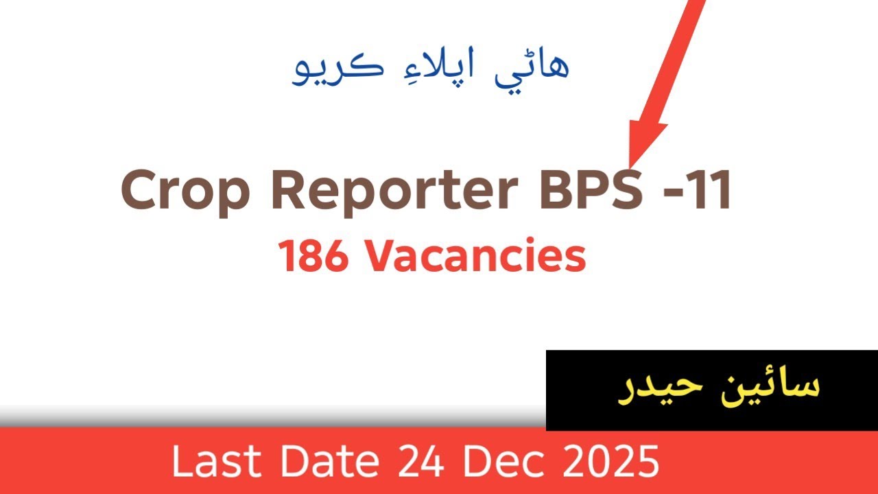 Jobs For Crop Reporter BPS-11 | 186 Vacancies | Apply Now | Latest Govt Jobs 2025