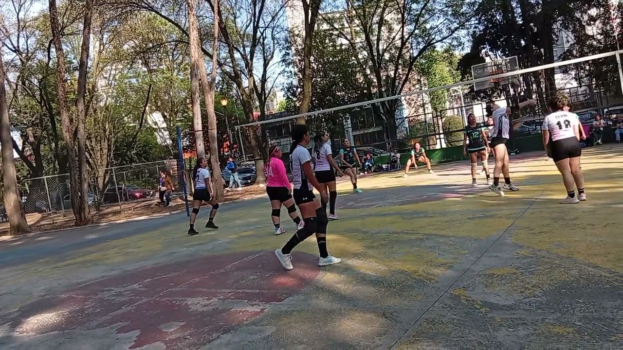 VID 20260215 161022