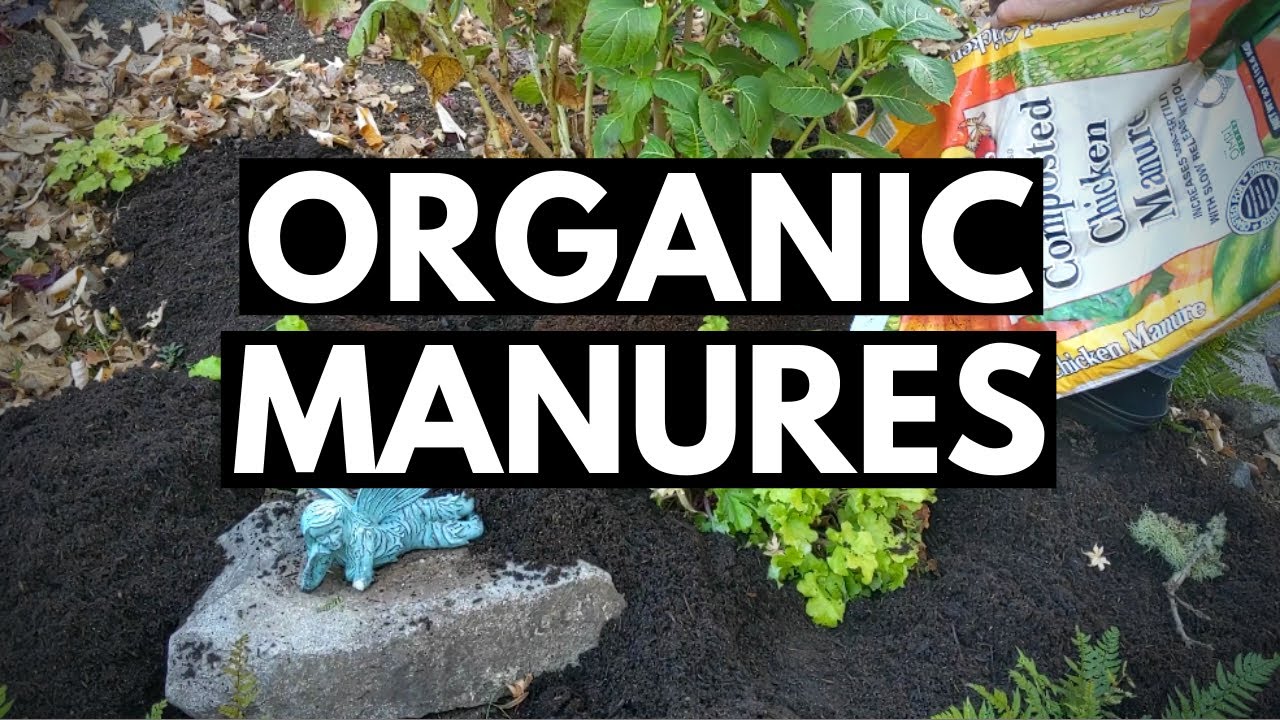 The Value of Organic Manures