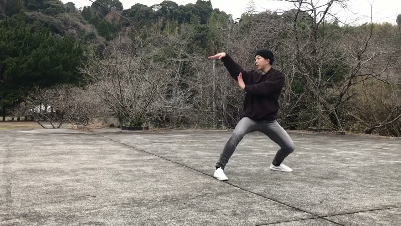 蛇拳《蛇形刁手》