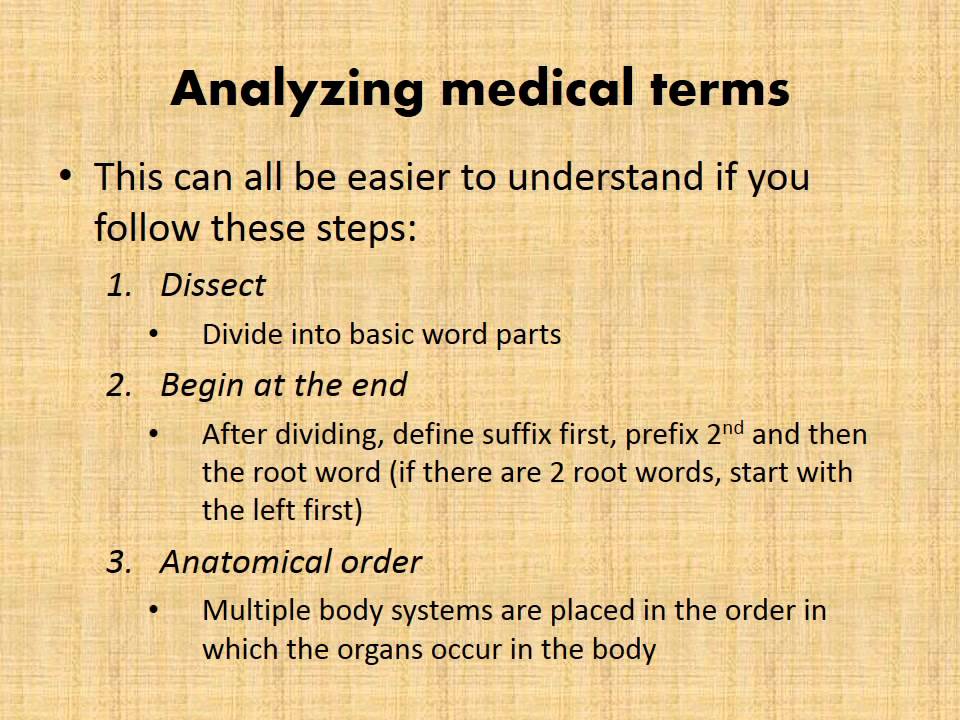 MBC Vet Tech Online Review 1.2 - Terminology Building Blocks