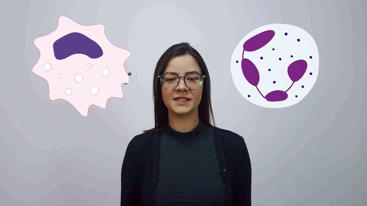 Papel do inflamassoma NLRP3 em modelos de hipertrofia cardiomioc&iacute;tica fisiol&oacute;gica e patol&oacute;gica
