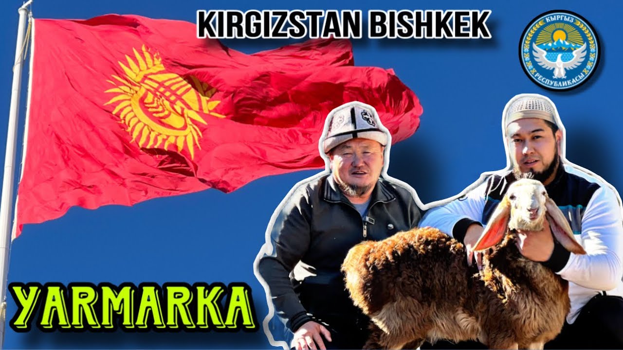 #kirgizstan #yarmarka #bishkek #2024.10.18 🇰🇬🤝🇺🇿🔥🔥🔥🔥