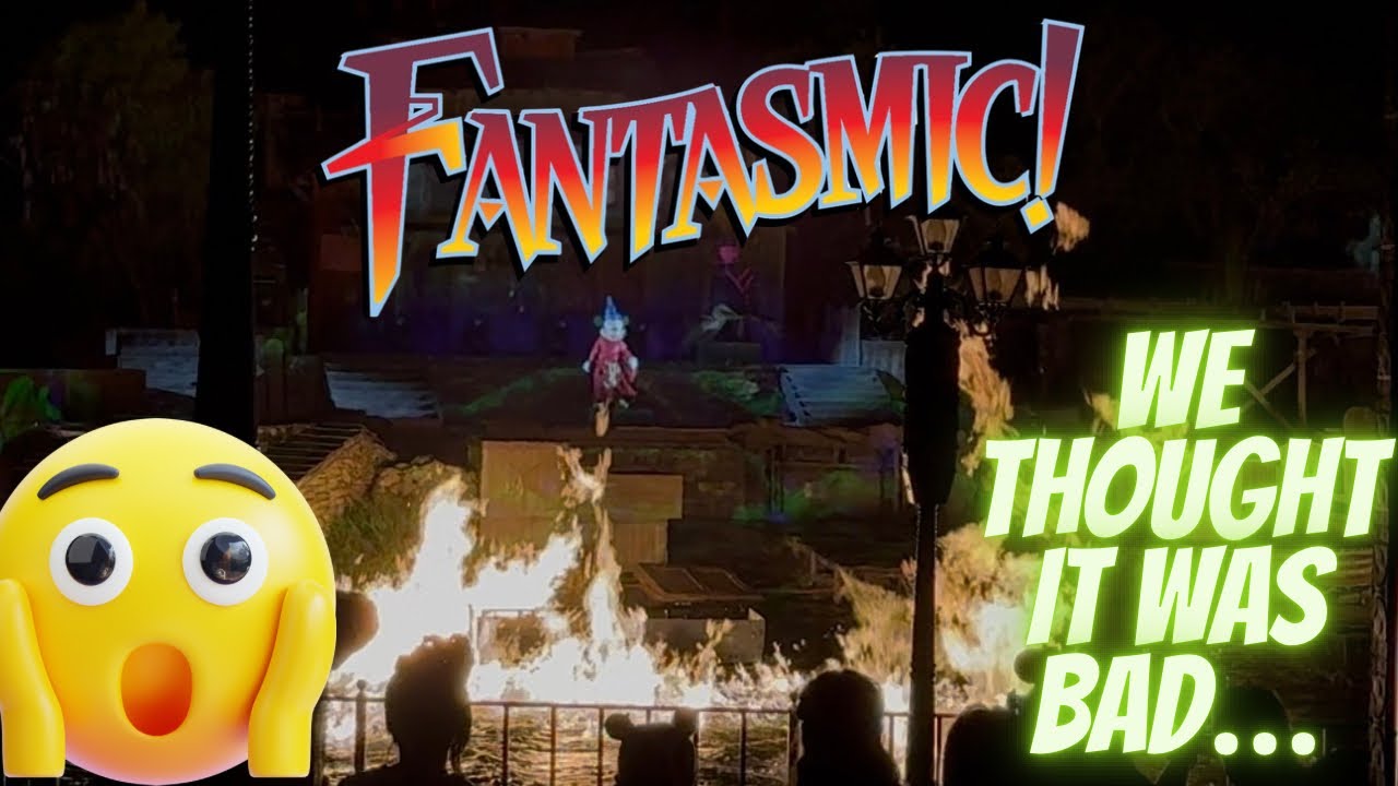 Fantasmic at Disneyland with Fireworks… We Thought We Had the WORST Spot 😭✨