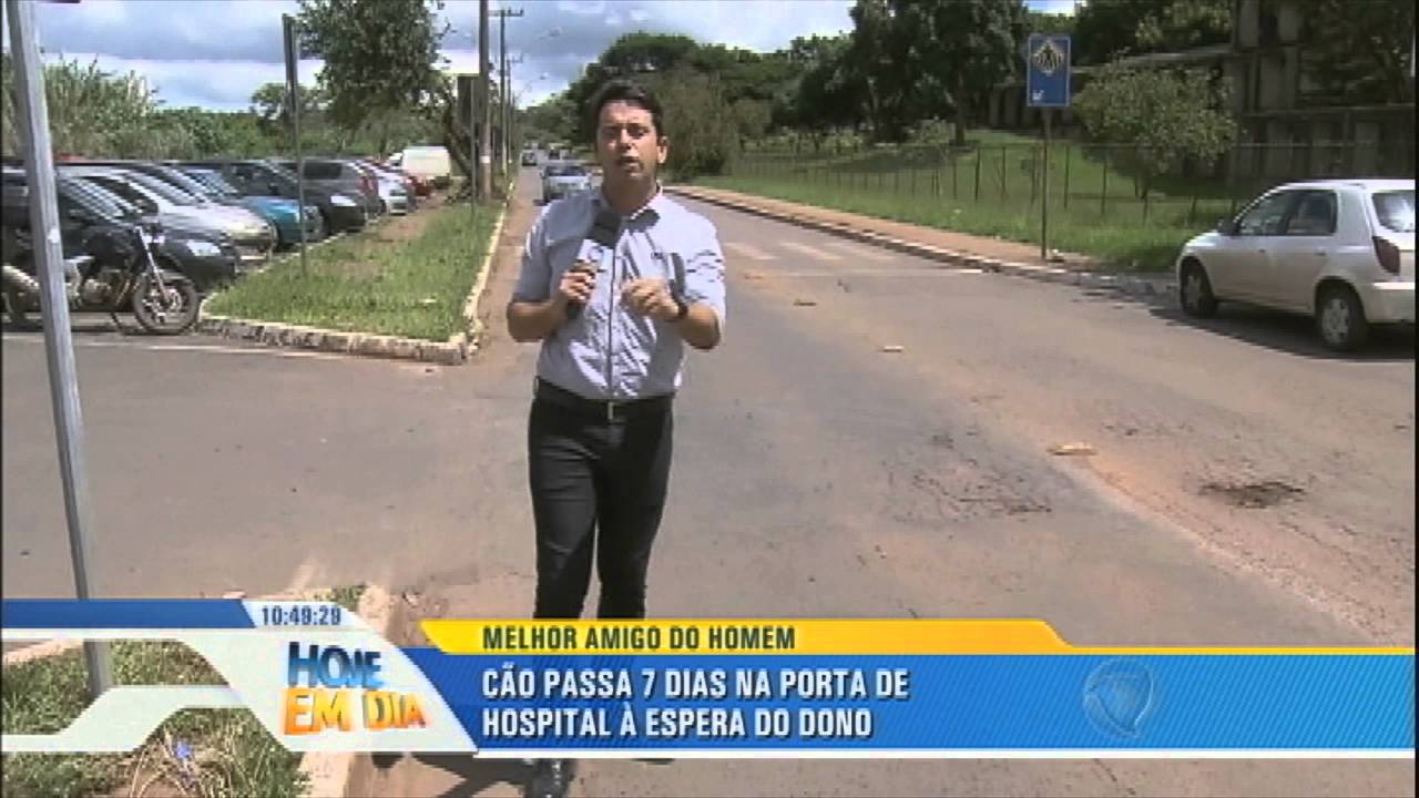 Cão passa sete dias na porta de hospital à espera do dono