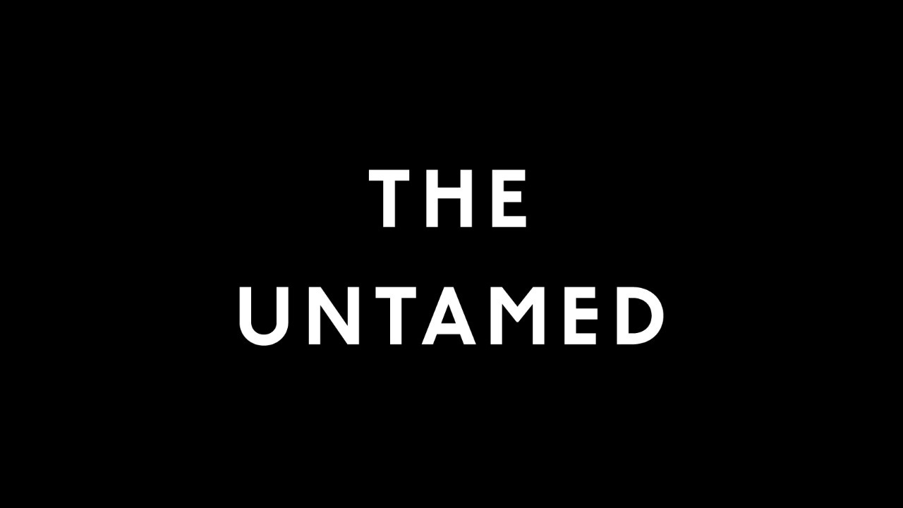 REUNION D'OPPORTUNITE THE UNTAMED FEVRIER 2026