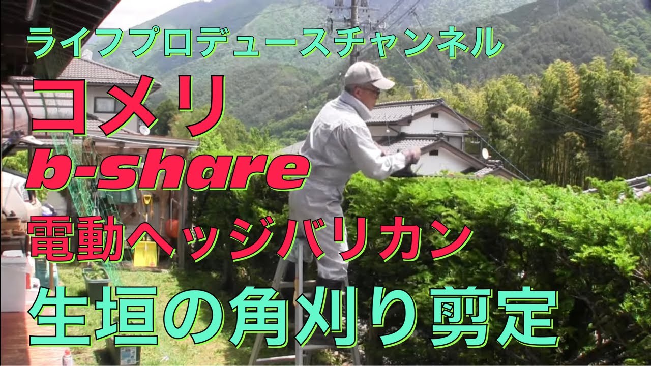 NO.078 Vlog コメリb-share電動ヘッジバリカン角刈り剪定