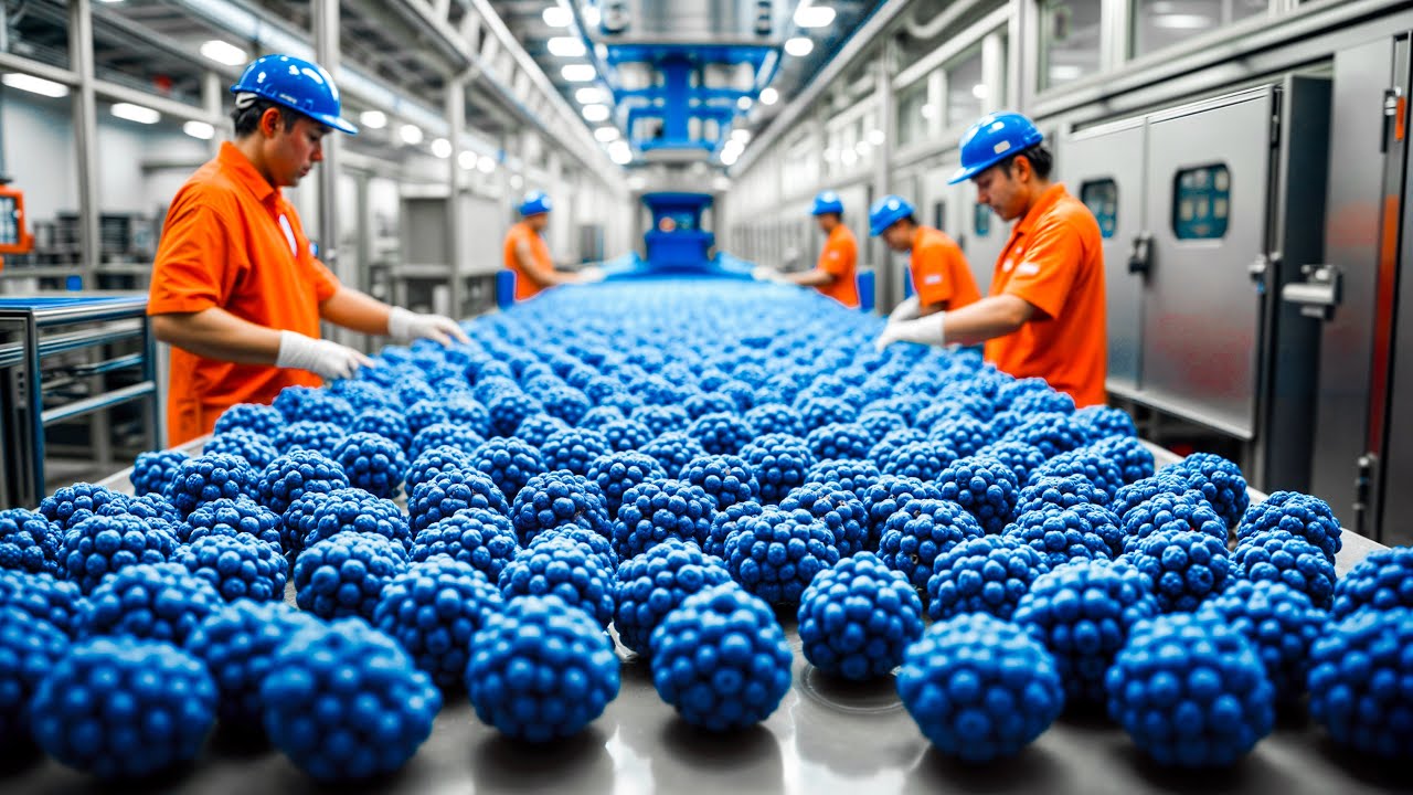 How Blue Raspberry Is Made in a Factory | Blue Raspberry Factory Process