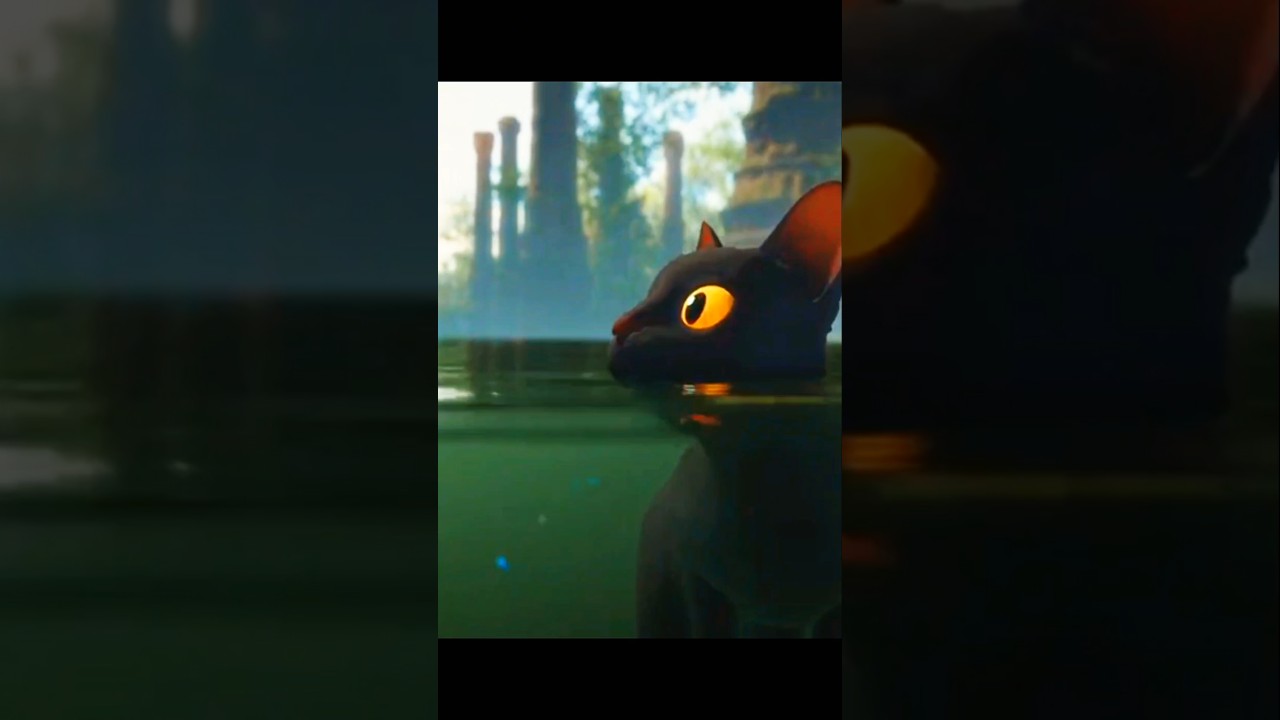 Котэк прыгнул в воду 🐈‍⬛💧 