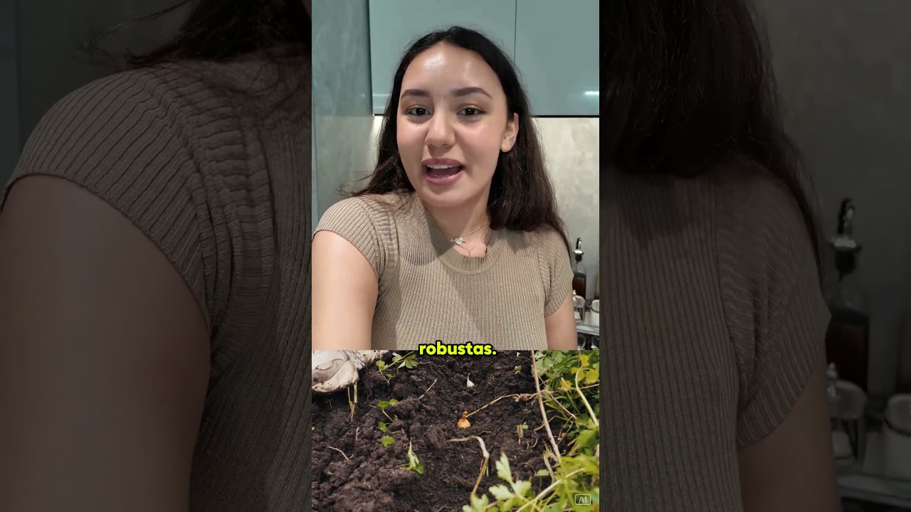 Aprende a sembrar desde la comodidad de casa 