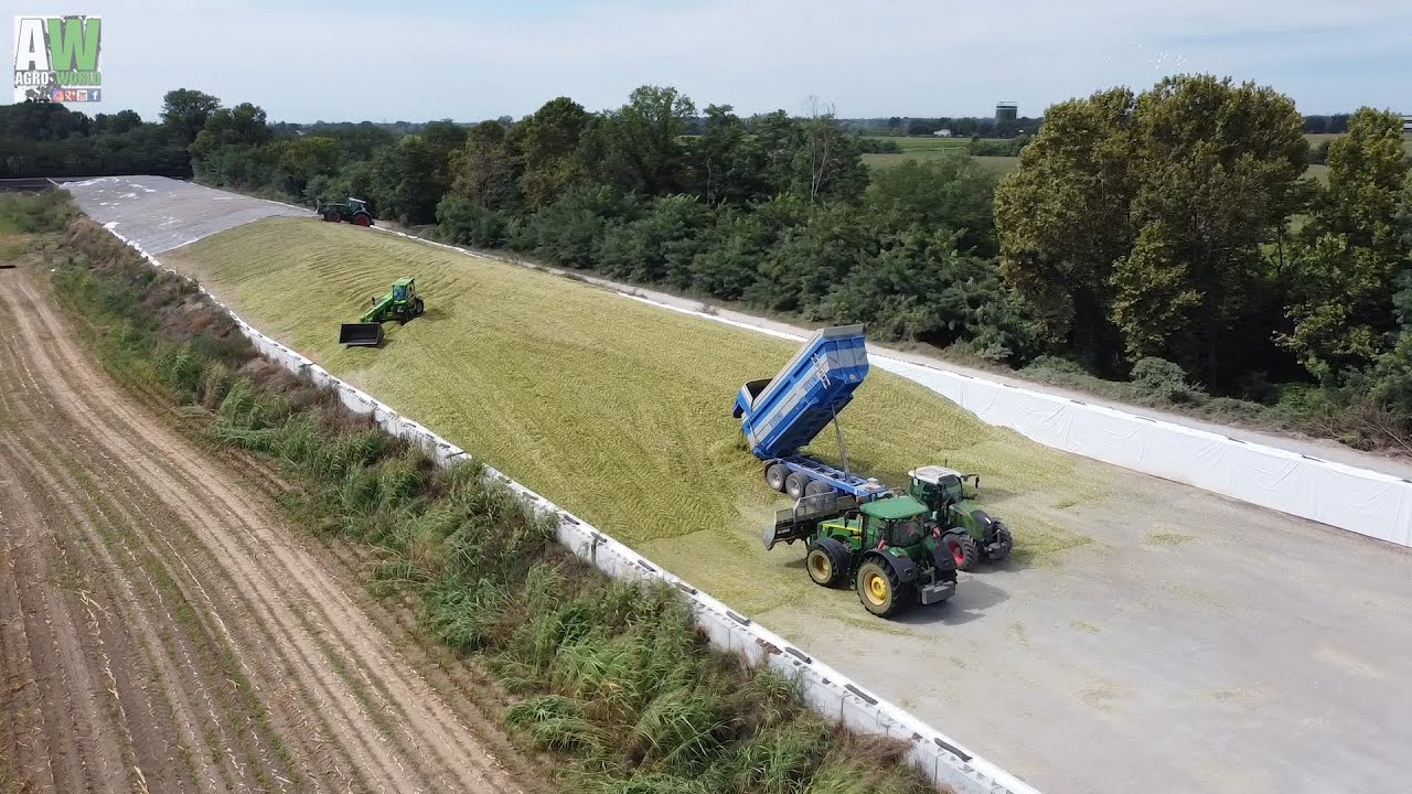 Silage 2021 / Trinciatura mais 2021 / The big silo in Italy / Claas Jaguar 980