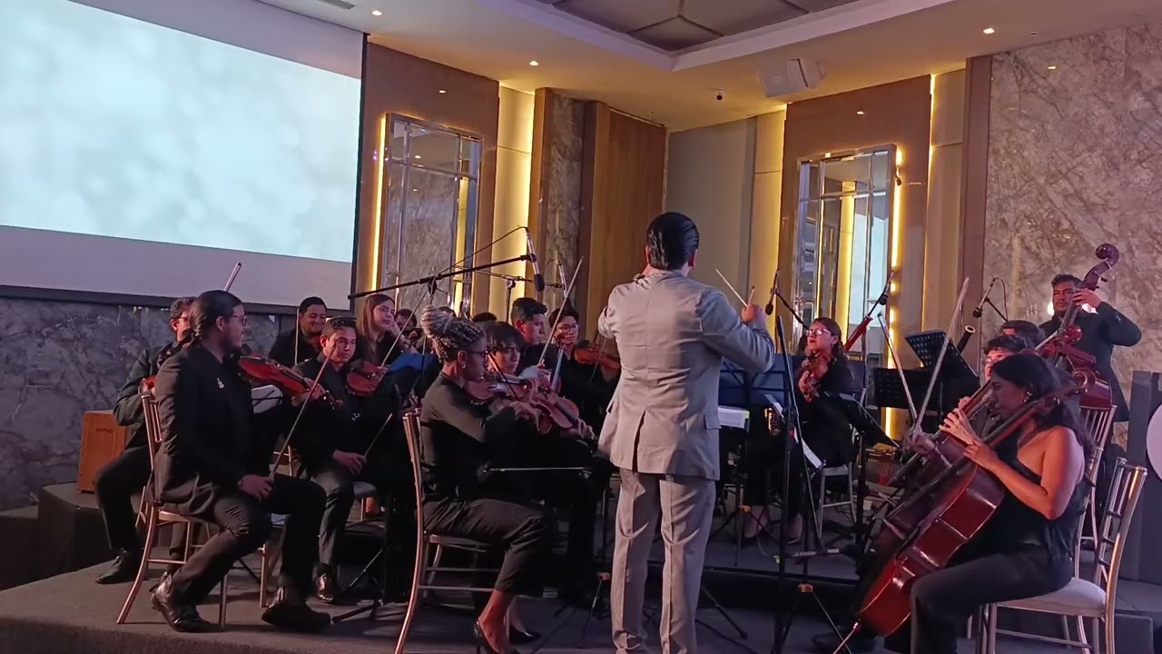 Sinfonía No. 25 en Sol menor K.183 de Wolfgang Amadeus Mozart. 