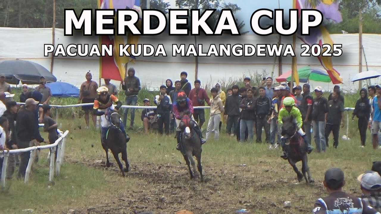 FINAL SERUU POWERNYA HAMPIR SAMA PACUAN KUDA MALANGDEWA