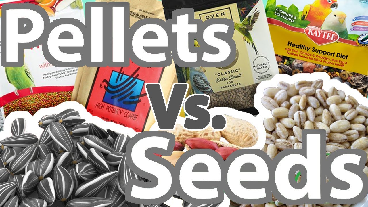 Seeds Vs. Pellets | Topics