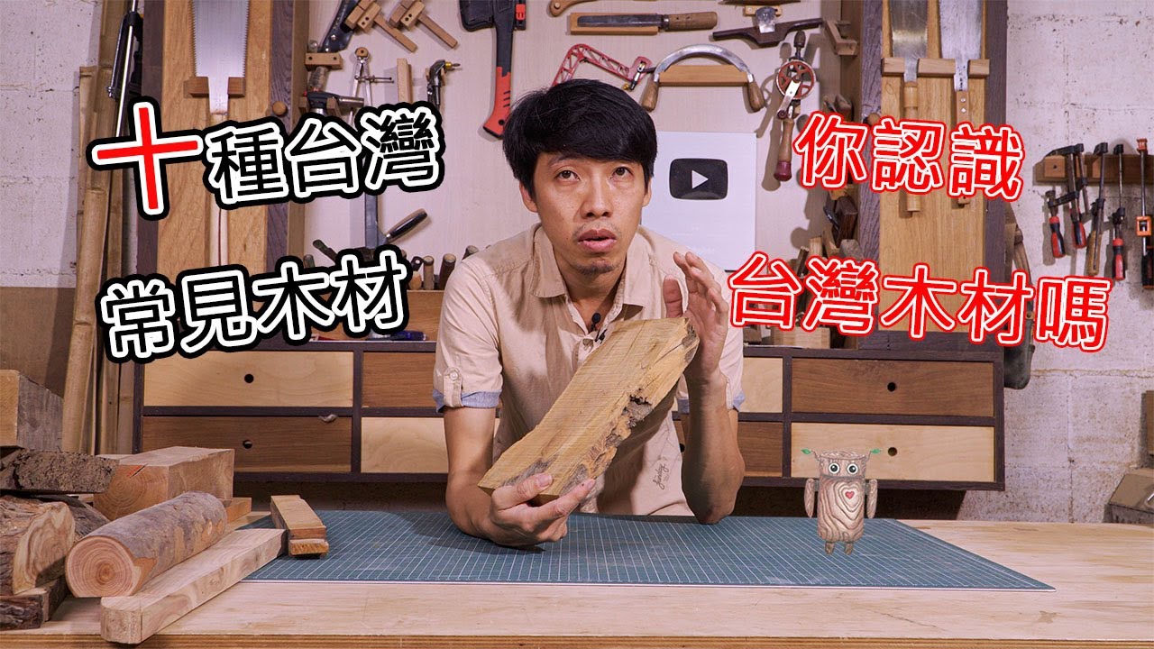 10種台灣常見木材 辨識木材 