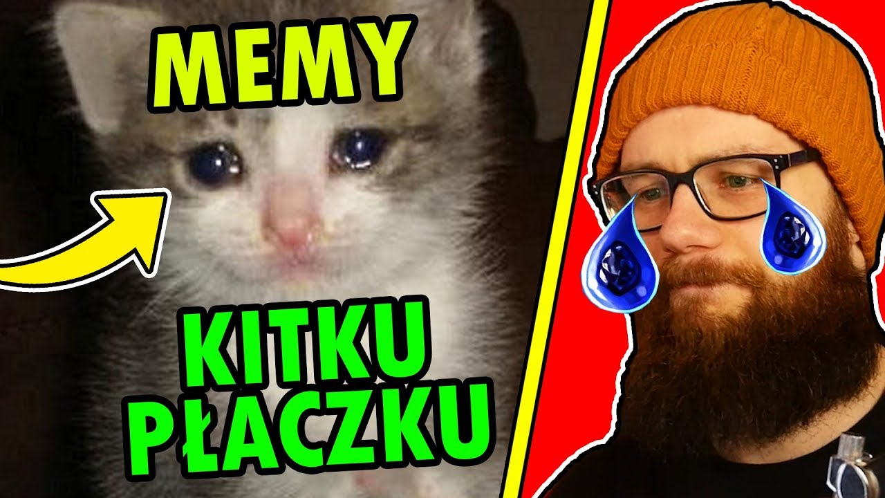 😿 NAJLEPSZE MEMY Z KITKU PŁACZKU