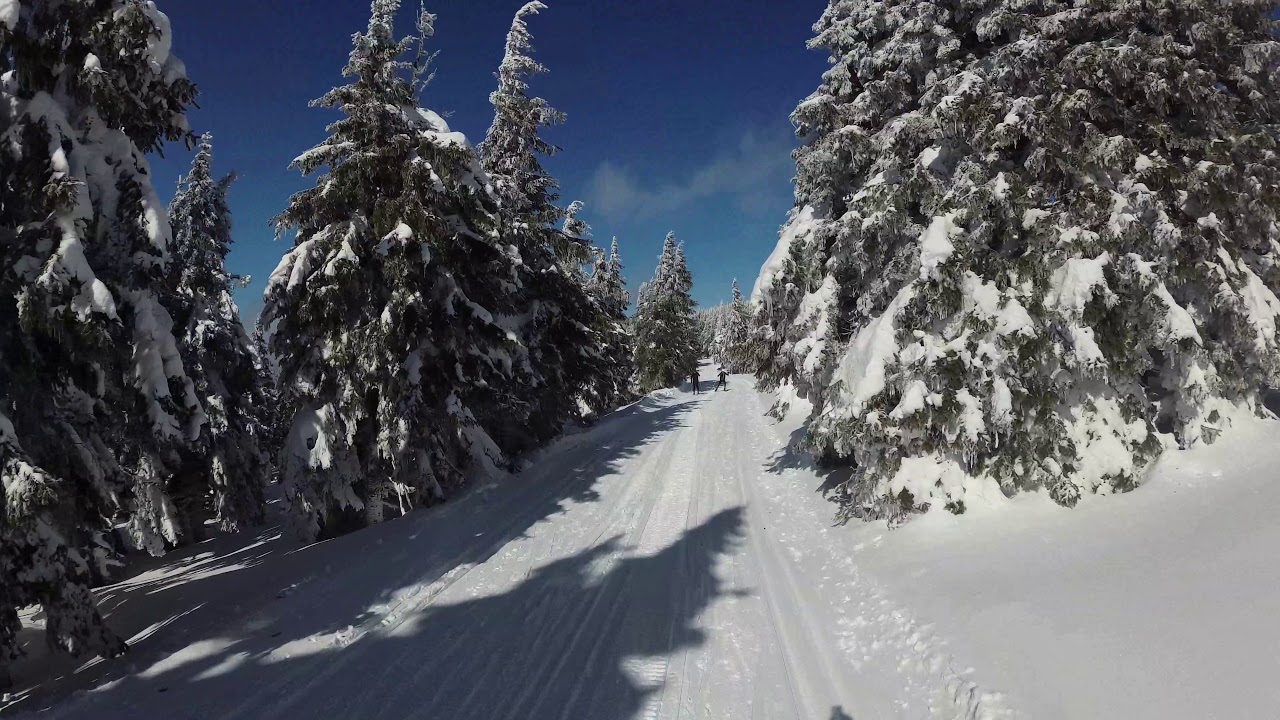 Běžky Praděd - Švýcárna
