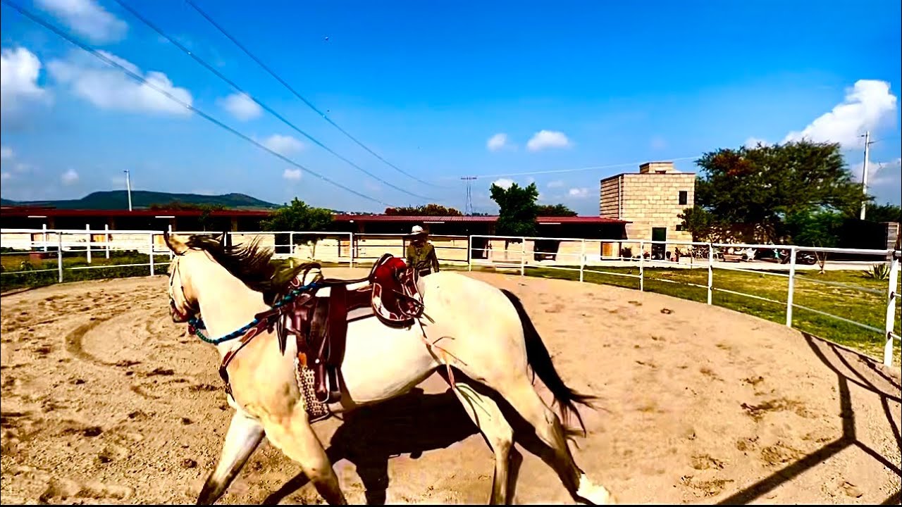 COMO MONTAR A CABALLO #MartinLoza #RanchoJR #parientesdelrancho
