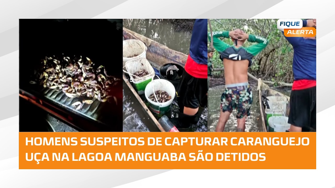 Dois suspeitos de capturar caranguejos-uça no período de defeso são detidos pela PM