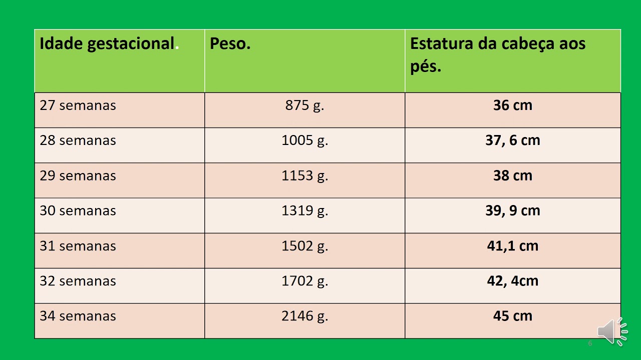 As medidas do feto: Idade gestacional - #pesodofeto. #estaturadofeto.