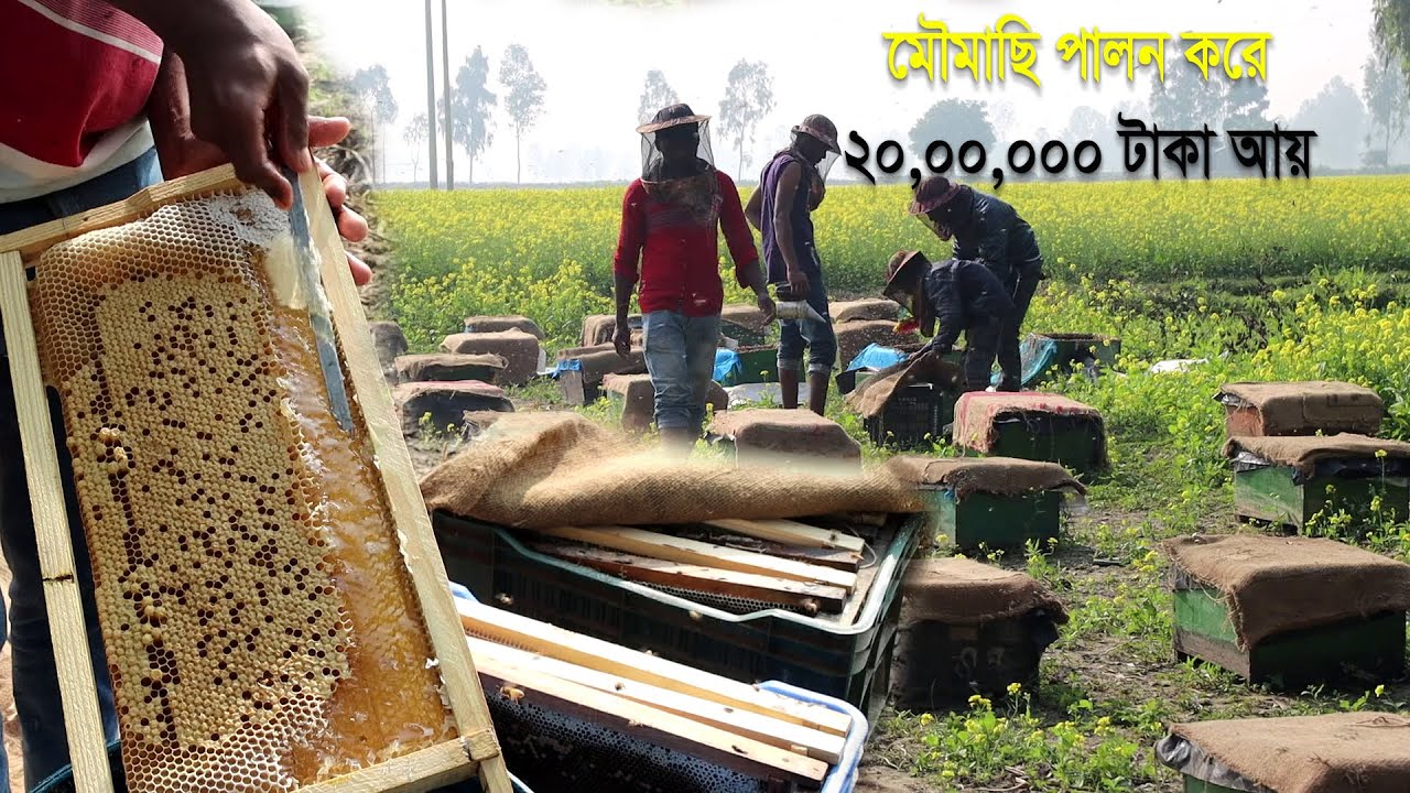 মৌমাছি পালন ও মধু চাষ করে বছরে ২০,০০,০০০ টাকা আয় করেন মাহবুবুল আলম | Honey Bee Farming plan