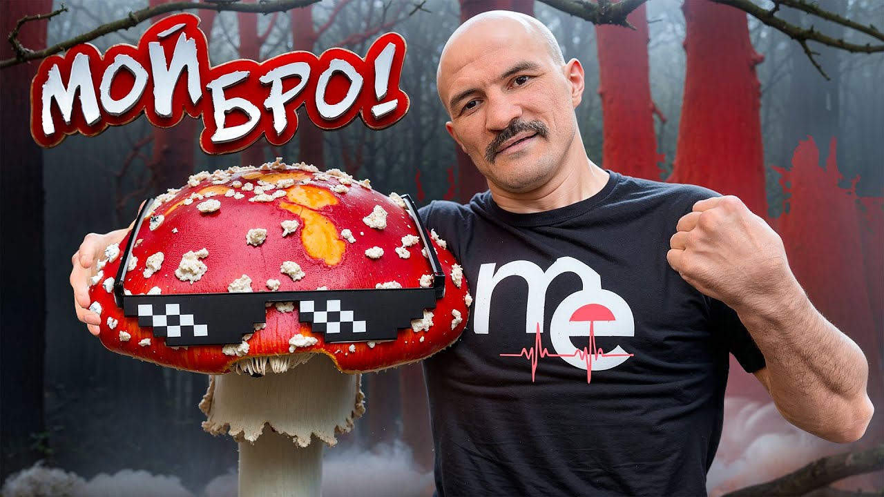 КАК МУХОМОР ИЗМЕНИЛ МОЮ ЖИЗНЬ?